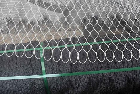 销售中心-安平县长义金属丝网厂提供不锈钢绳网工厂/不锈钢绳网图片